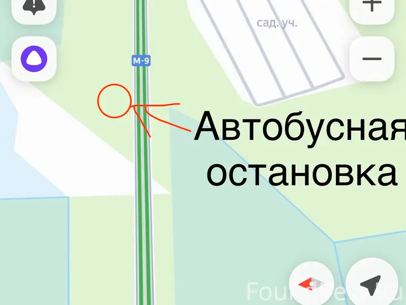 Найден пёс с подбитой лапкой, трасса м-9