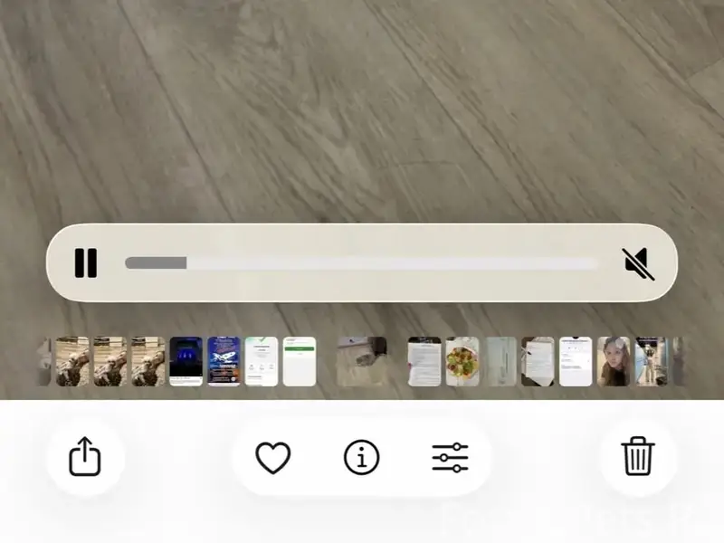 Пропала кошка, район завода им. Кирова