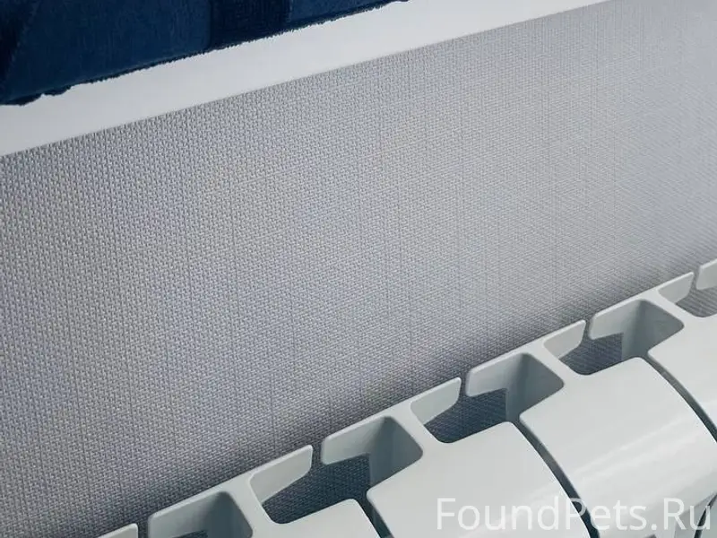 Найдена кошка сфинкс эльф, Москва