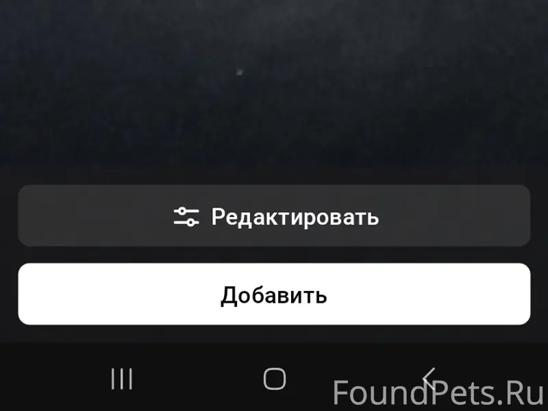 Пропала кошка, улица Покровская