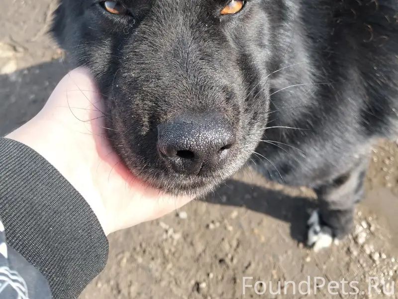 Пропал мальчик ниже среднего размера, Коломна