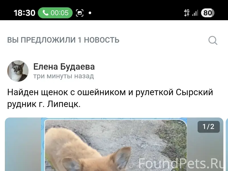 Найден щенок с ошейником, Сырский рудник, Липецк