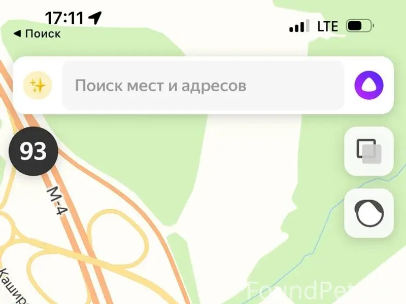Найден пёс с перебитыми лапами, Ступинский район