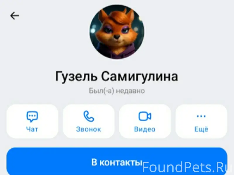 Пропала собака, [место не указано]