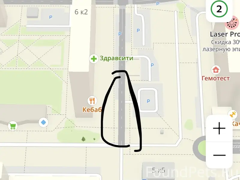 Найден котёнок девочка, ЖК Цивилизация