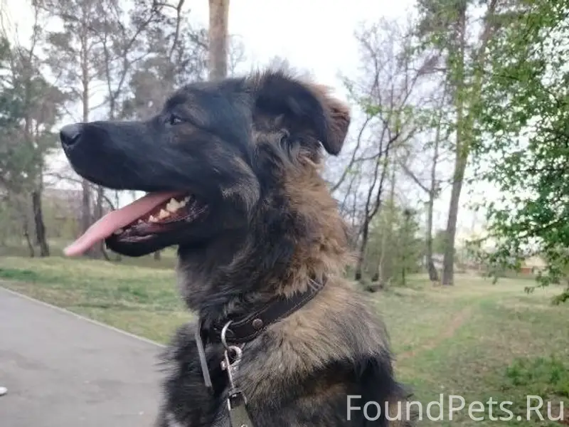 Пропал мальчик Байро, район рабочего