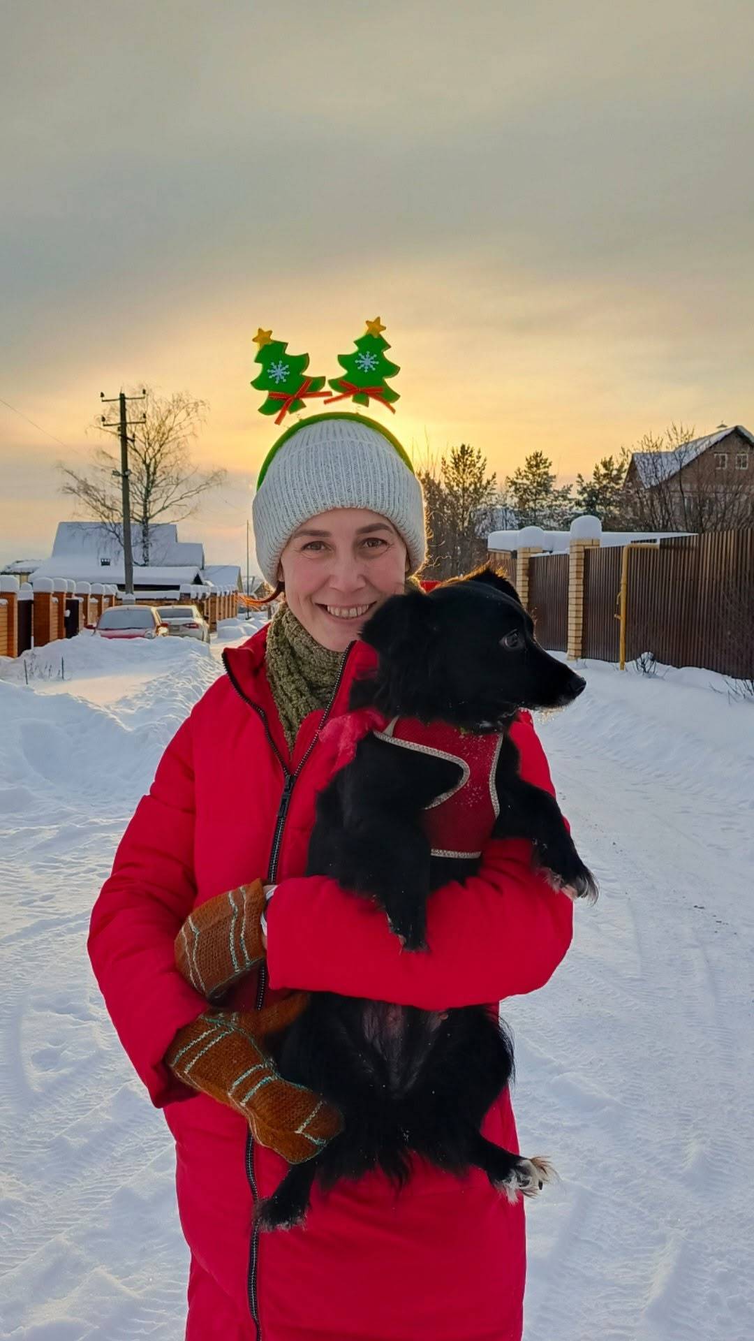 Пропала маленькая собачка Люся