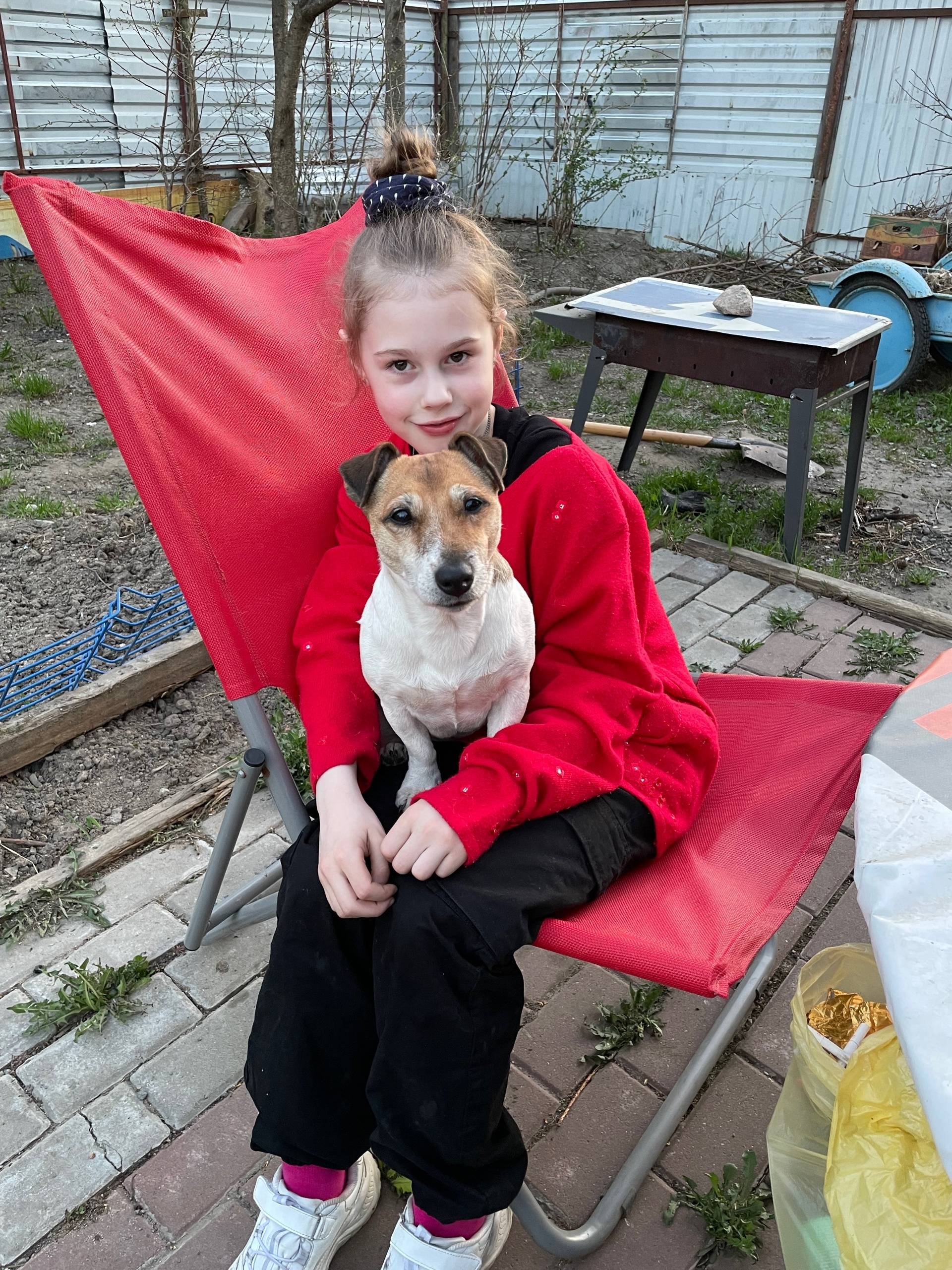 Пропала собака Джек Рассел Гильза