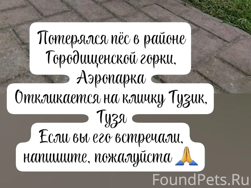 Пропал пёс Тузик, Вознесенская улица