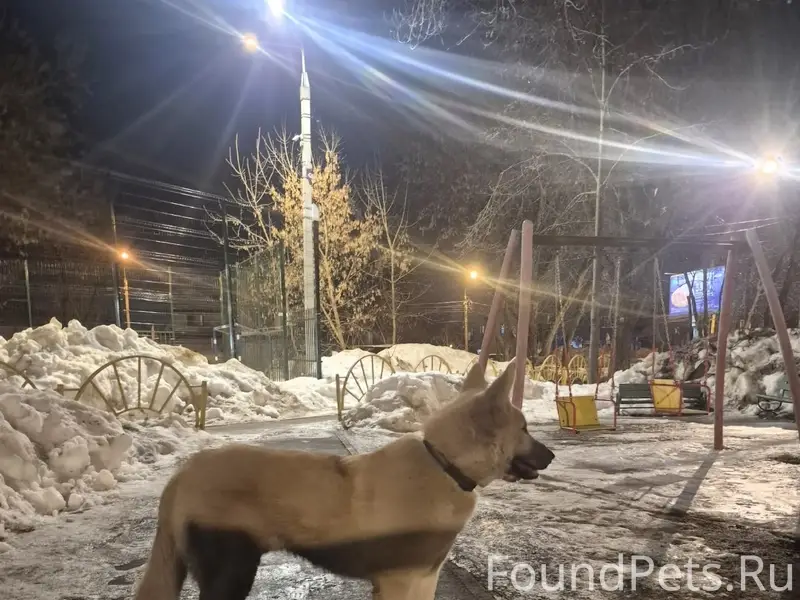 Найден кабель, Арманда