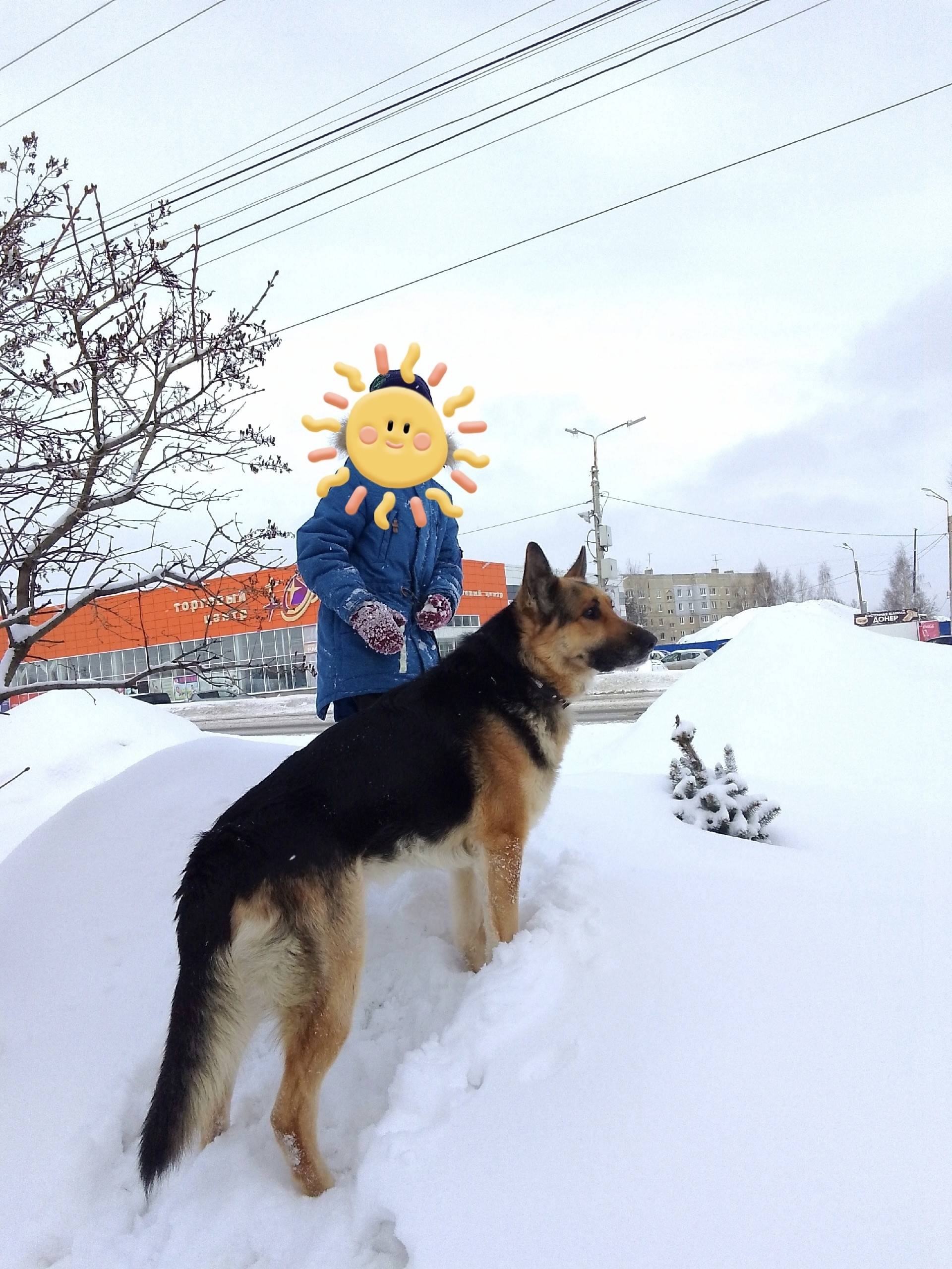 Пропал Ральф, р-н Байконур