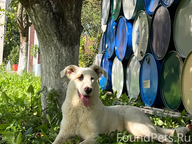 Пропал кабель, деревня Малышево