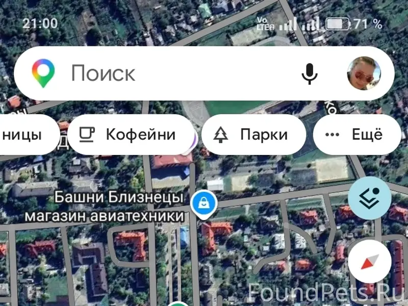 Пропал кот, район школы 5