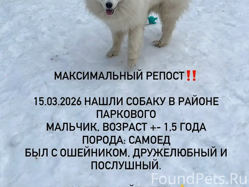 Найден самоед, Пермь, парковый