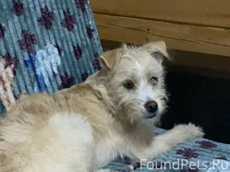 Пропала девочка 7 месяцев, улица Титова