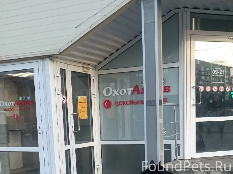 Пропала собака, Шабаны