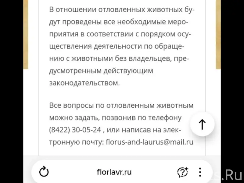 Найденныесобаки,КузоватовоиУльяновскаяобласть