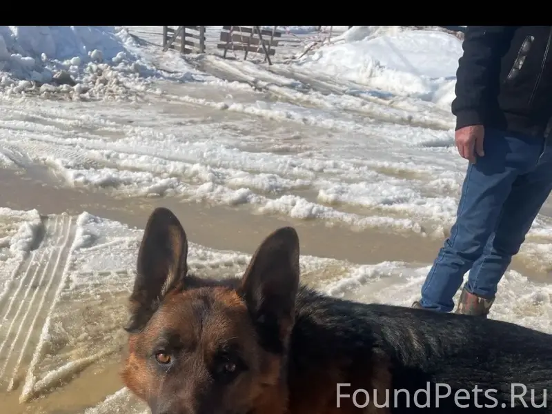 Найден немец, между Арзамасом и Хватовкой