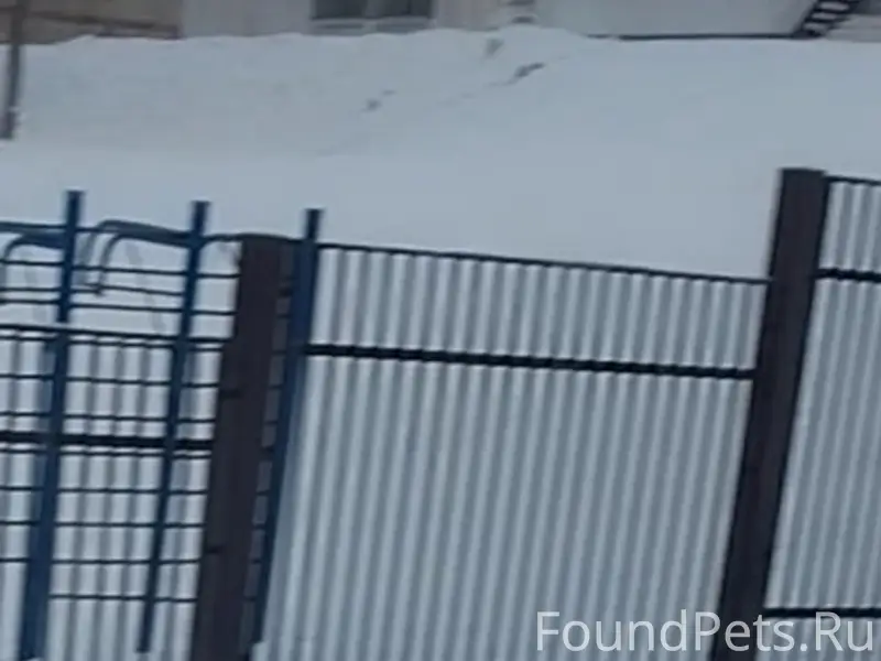 Пропал Тёма, Новоильинский район