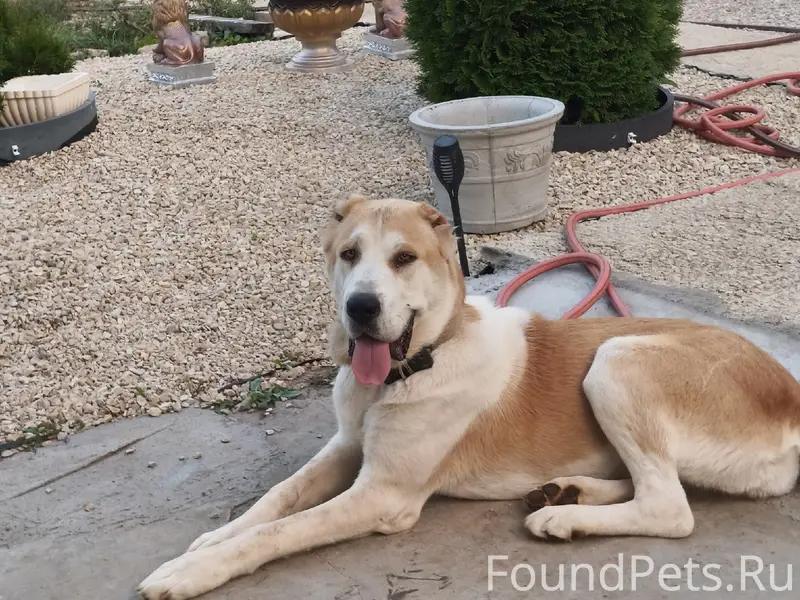 Пропала САО, станция Парк дружбы народов