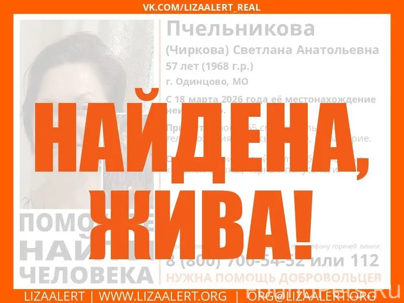 Найдена кошка Светлана