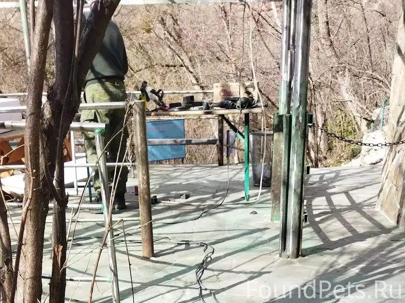 Пропала собака, Красная пещера