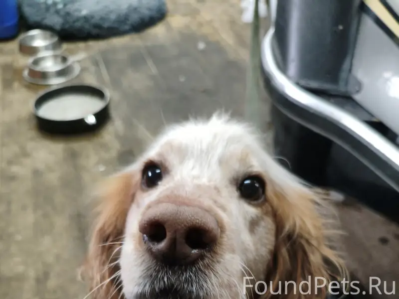 Найден тип неизвестен, место неизвестно