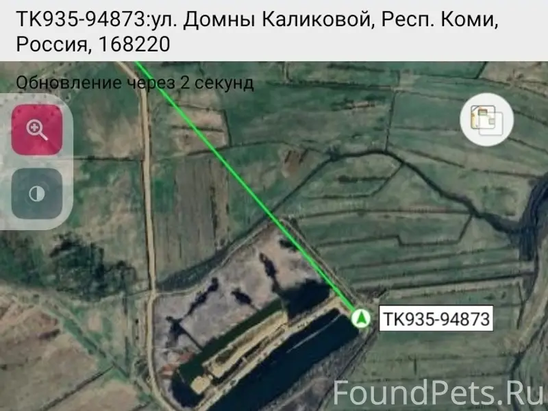 Найдены трупы собак, похожие на русско-европейскую лайку, Выльгорт