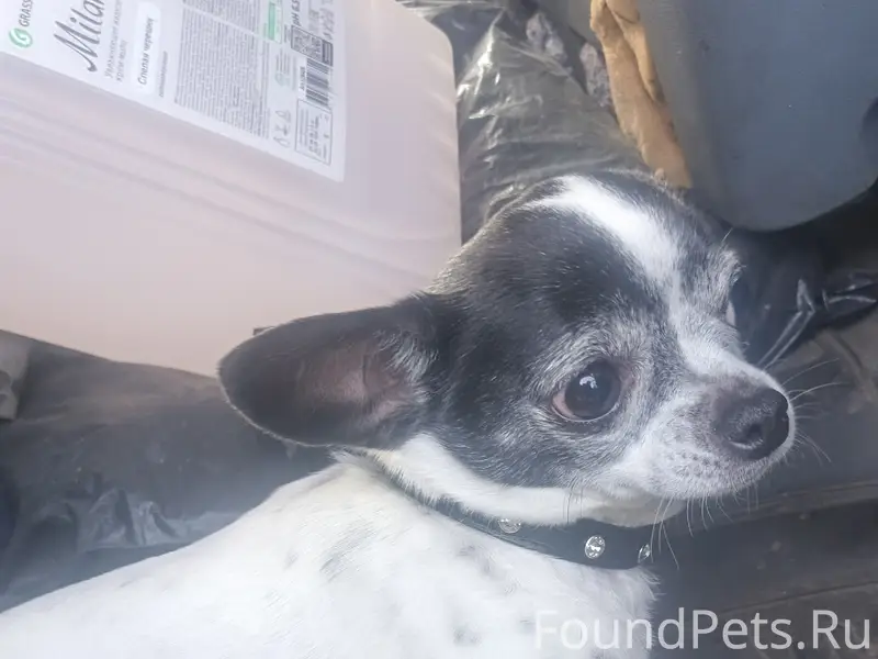 Найден Чихуа, район 22-съезда