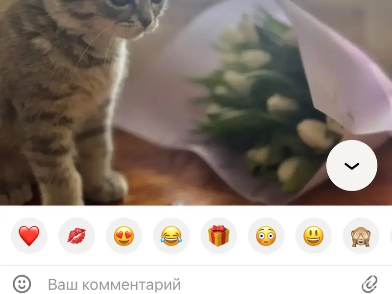 Пропал котёнок Фёдор, район ул. Репина