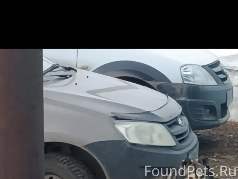 Пропала собака, Село Учалы (Барвиха)