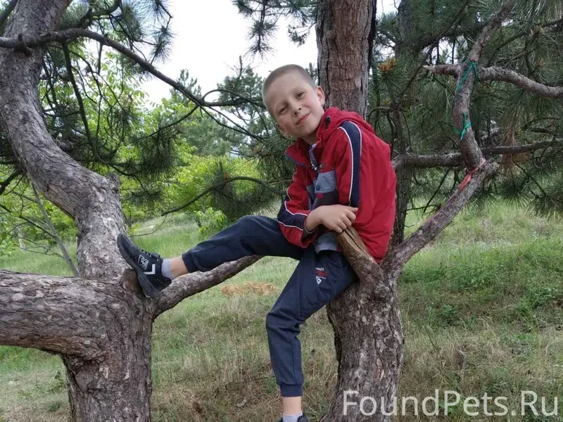 Пропала овчарка Ася, Марьино