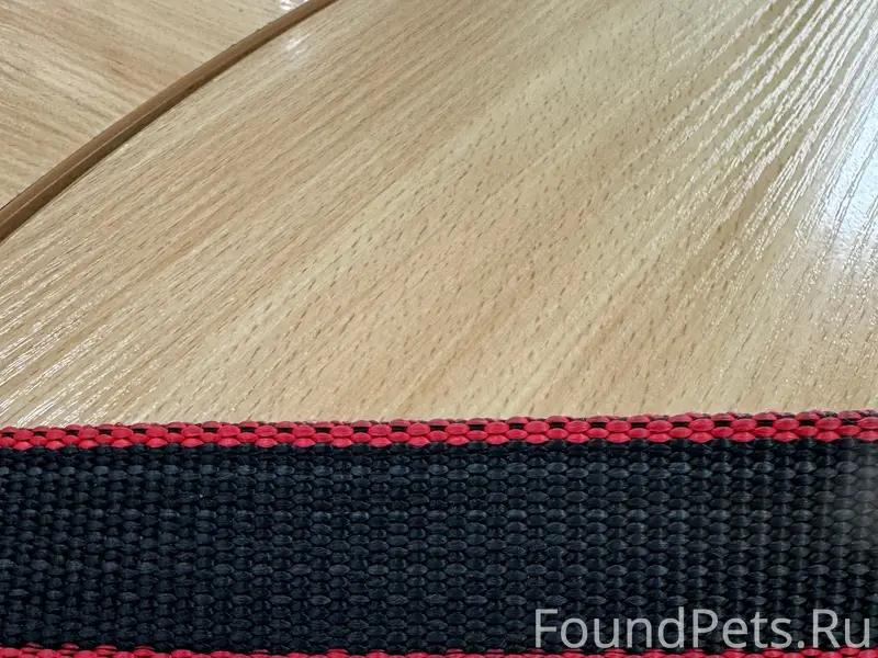 Найдена немецкая овчарка, г. Барнаул