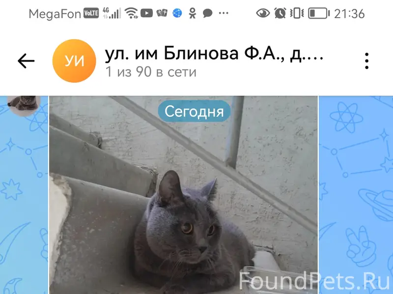 Хозяева отзовитесь!