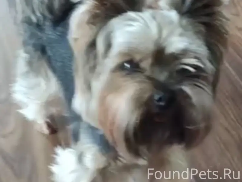 Помогите найти члена семьи!