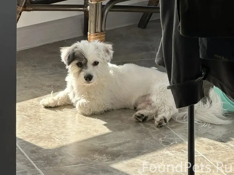 Вознаграждение! Помогите найти 