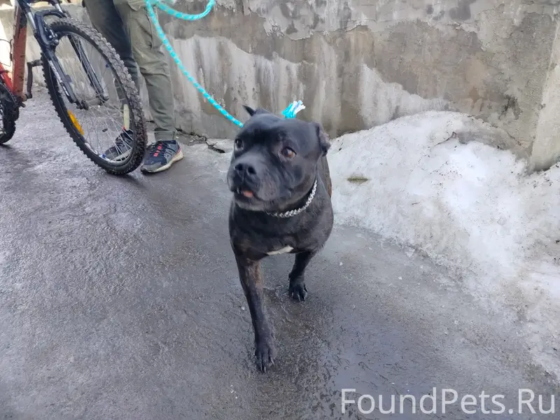 Найден тип неизвестен, Каблуково