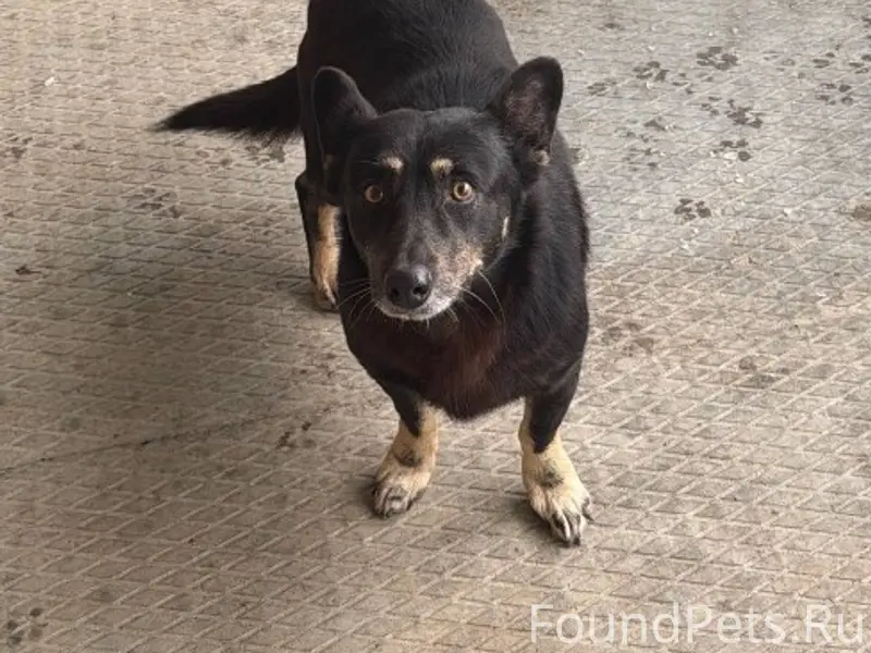 Найден Малыш, х. Ленина