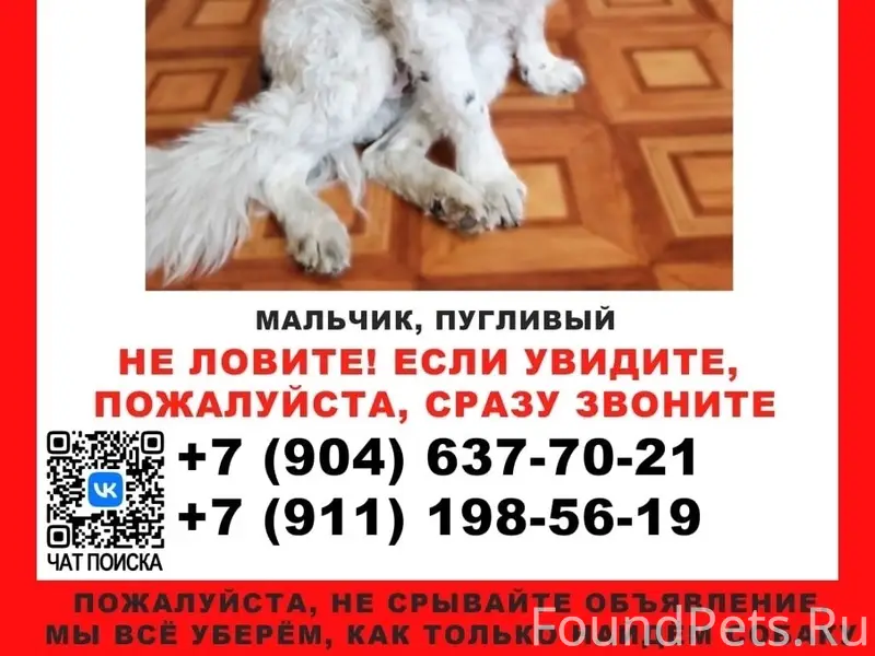 Пропал метис Ден, Приморский район