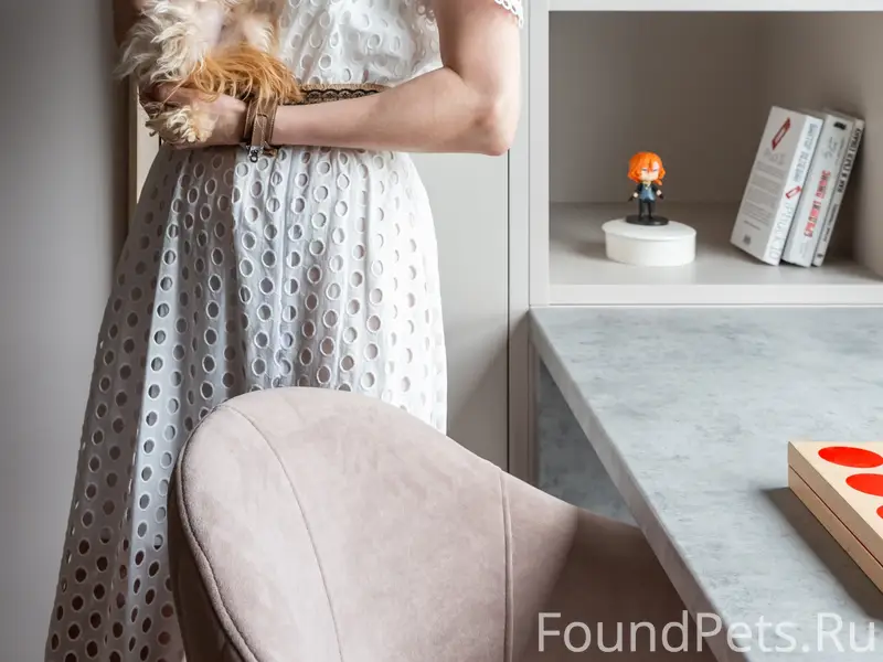 Пропала собака Ася, Ногинск