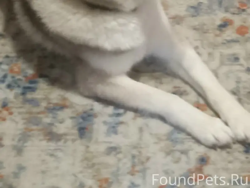 Пропал Рой, озеро Суходольское