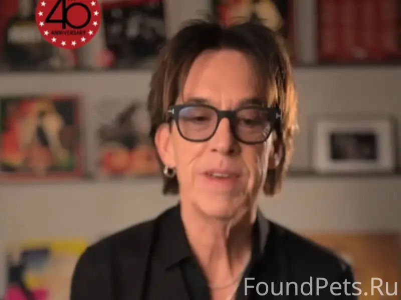 Пропал кот Мушу