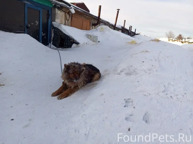 Пропал Норд, г. П.Ревда