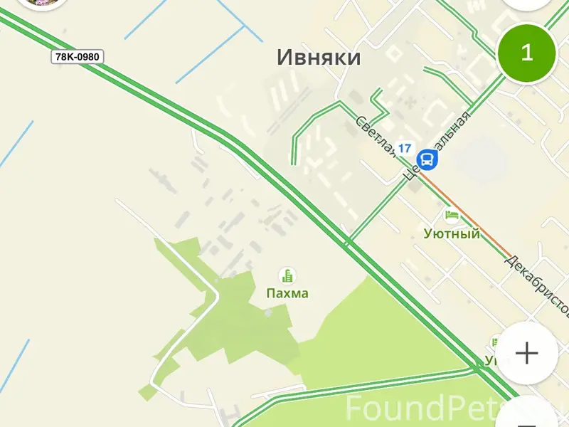 Найден цвергпинчер, СНТ Металлург, СНТ Сажевик