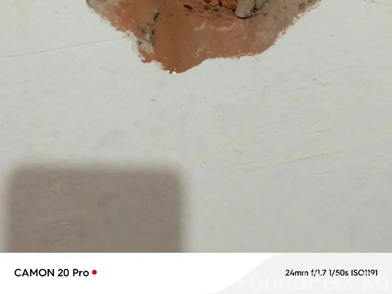 Найден бездомный кот, неизвестно где