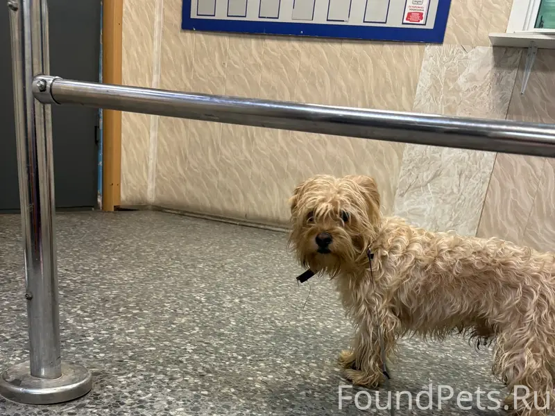 Найден мальчик, Октябрьский район