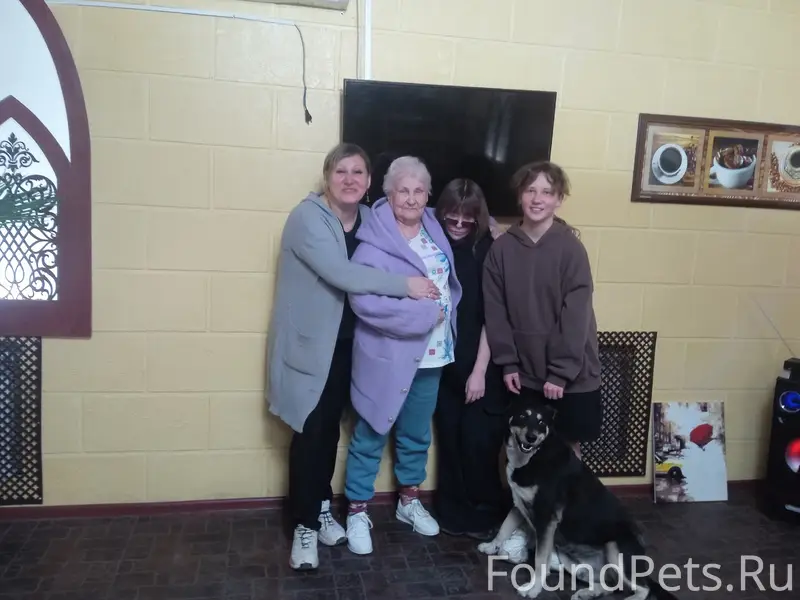 Пропал Бадик (Майкл), район Донской