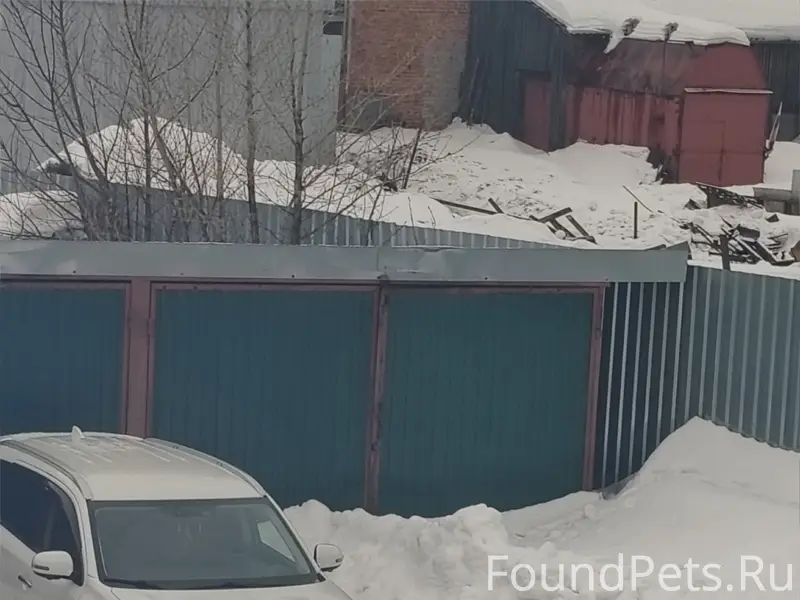 Найден кабель, улица Скуратовская