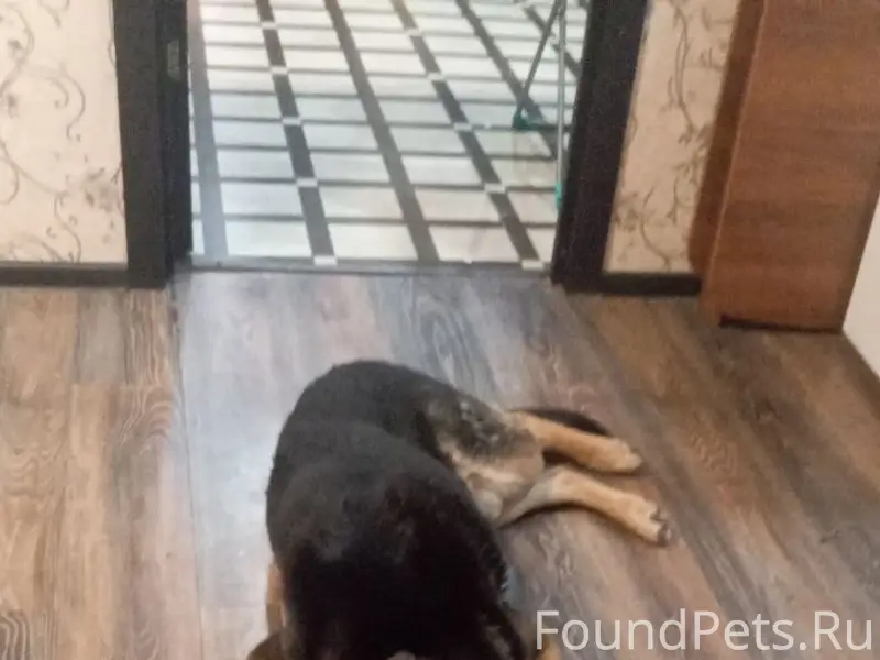 Пропал Рой, район торгового