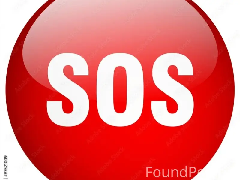 Пропал метис Грэй, район Труда/Воложка